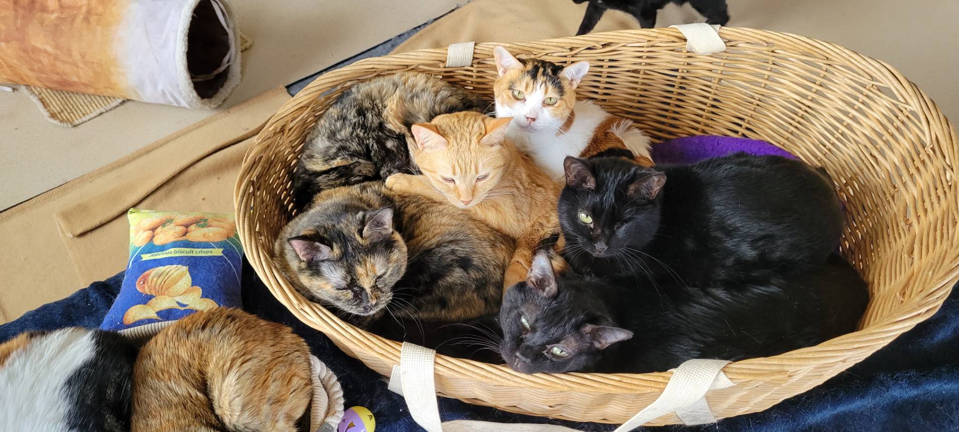 🎍 新年あけましておめでとうございます 🎍