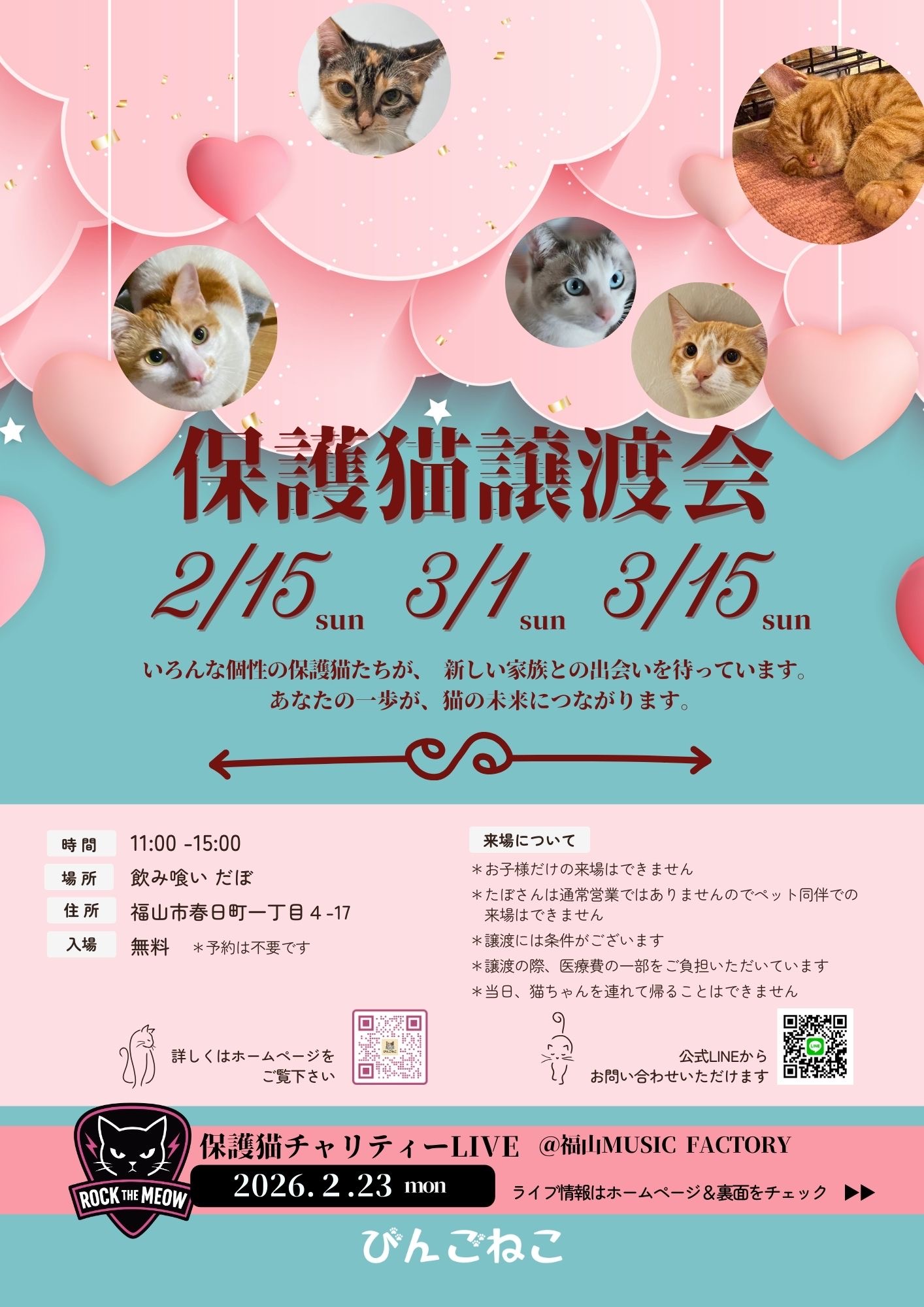 📢 2月15日譲渡会のお知らせ🐱🏡